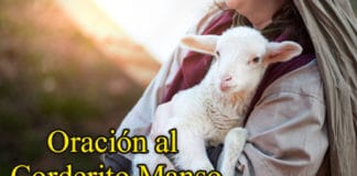 oracion-al-corderito-manso